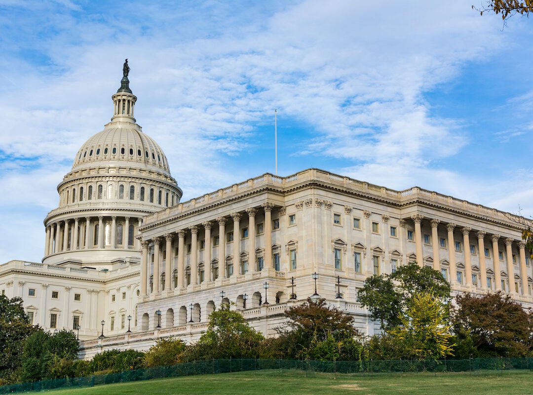 Strategies for Penetrating Government Market for the First Time