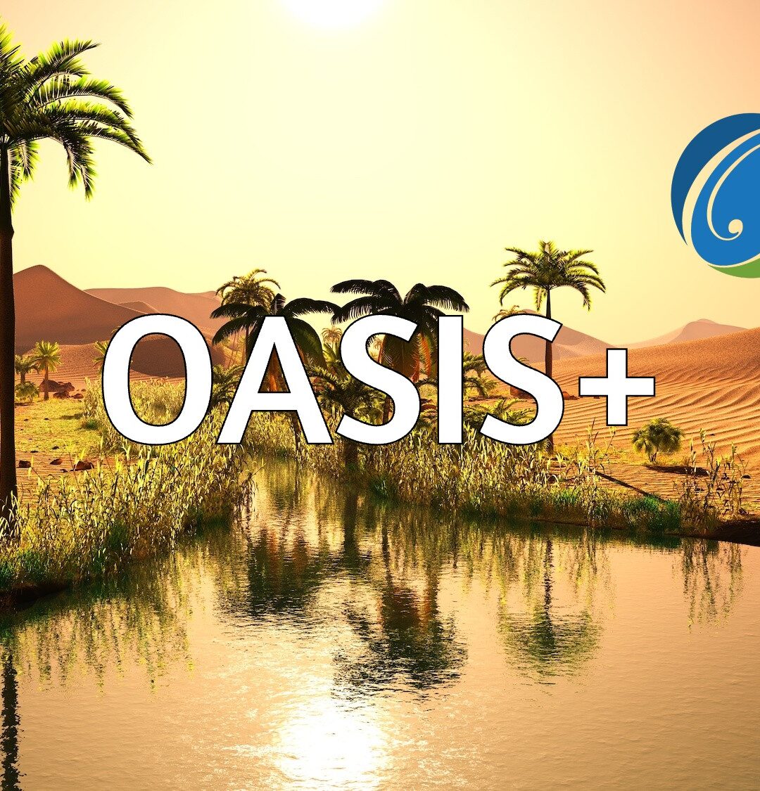 Win Big with OASIS+: Get Expert Help From OST Global Solutions