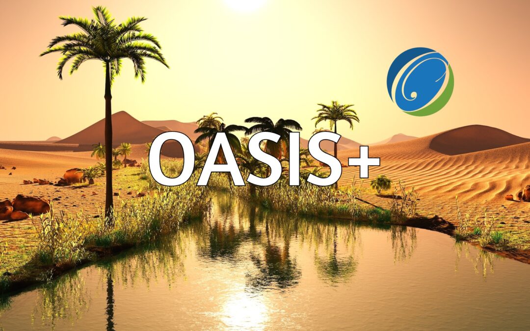 Win Big with OASIS+: Get Expert Help From OST Global Solutions