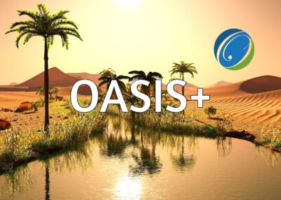 Win Big with OASIS+: Get Expert Help From OST Global Solutions