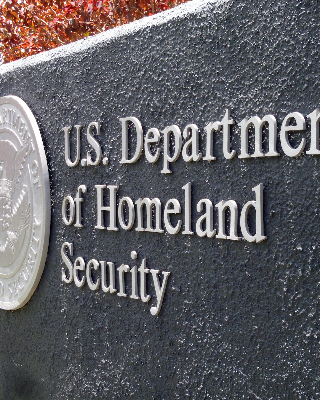 The Inside Scoop on Winning a Contract on DHS PACTS III