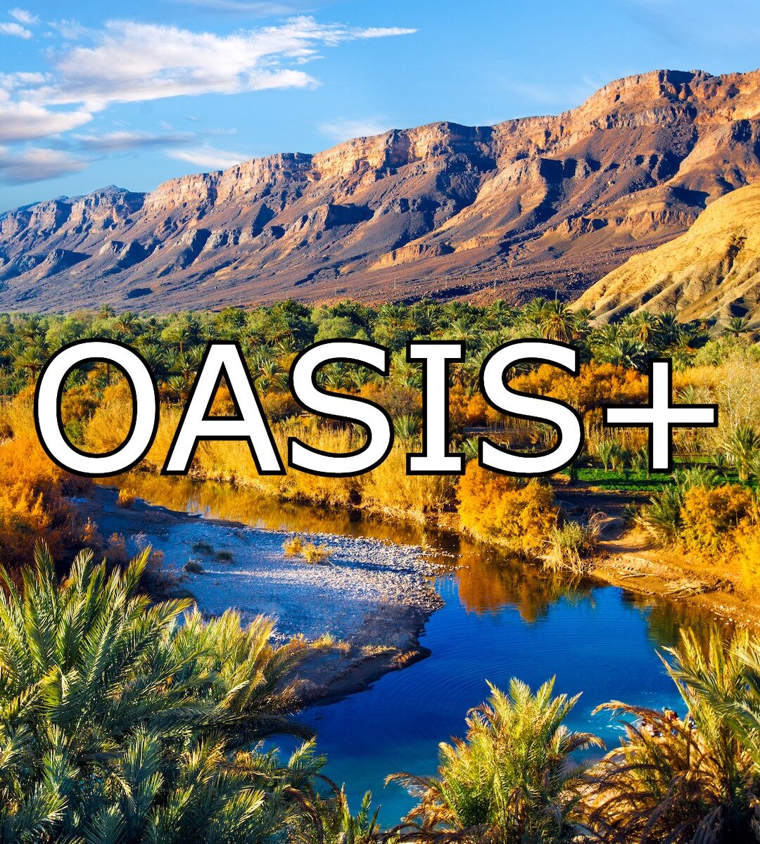 Unlock OASIS+ Success With OST: Strategic Pricing & Proposal Excellence