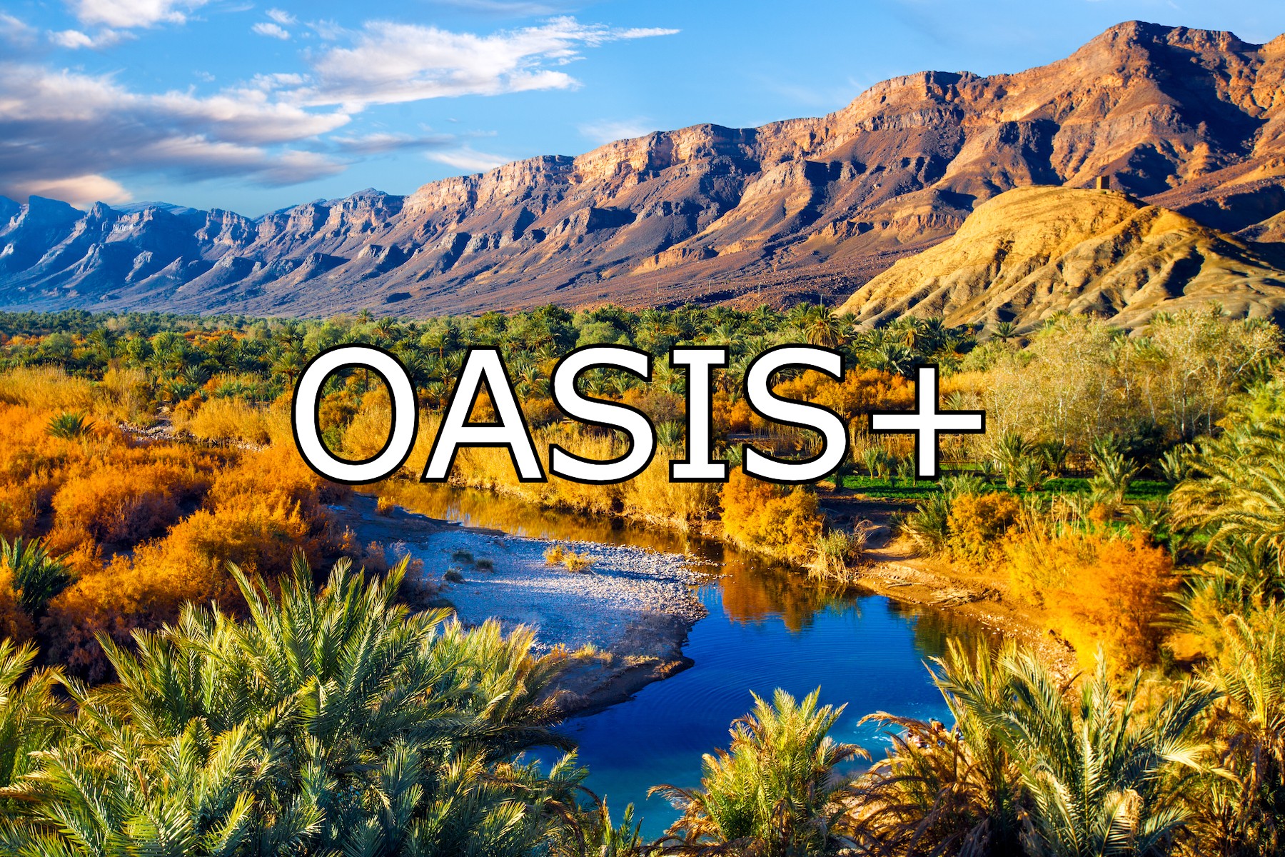 OASIS-Plus-Featured-Image