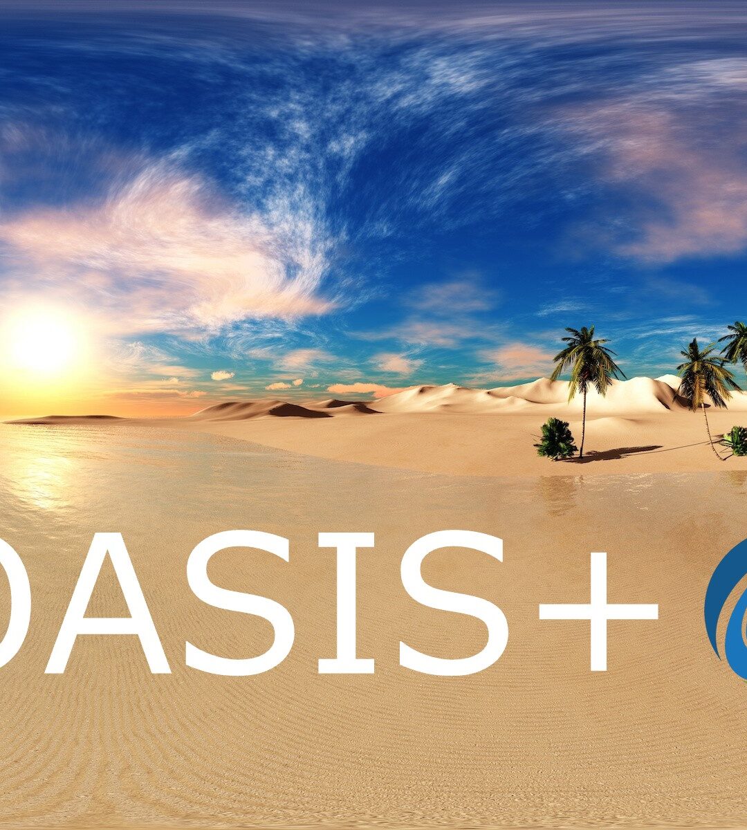 Navigating OASIS+: OST is Your Guide to a Winning Proposal