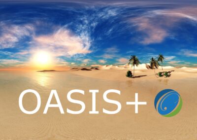 Navigating OASIS+: OST is Your Guide to a Winning Proposal