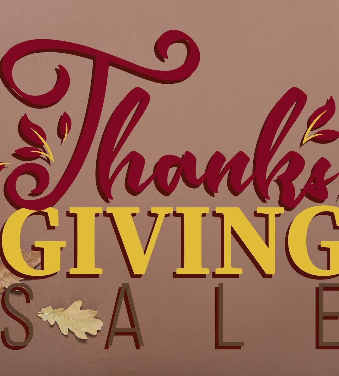 Annual Thanksgiving Training Sale Starts Now! 30% Off