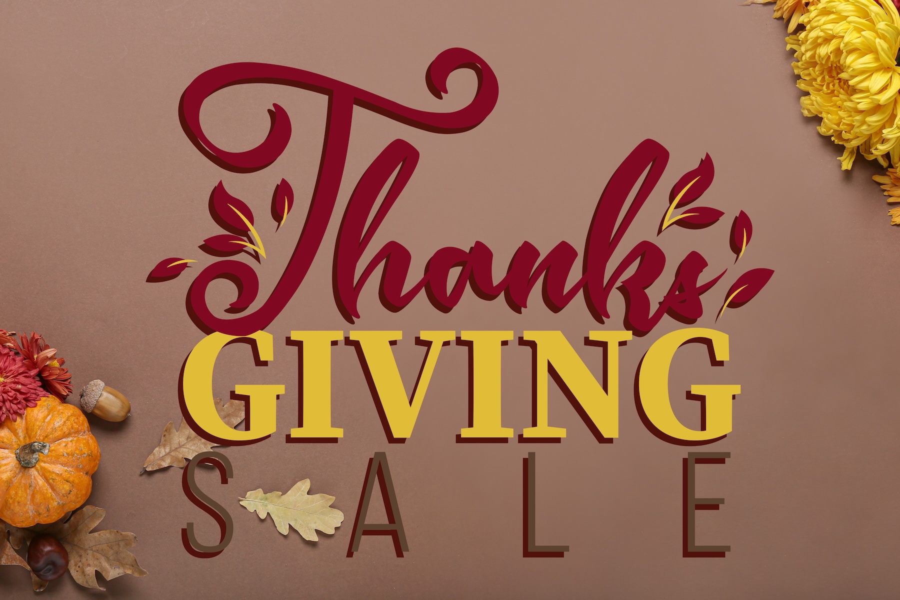 Annual Thanksgiving Training Sale Starts Now! 30% Off