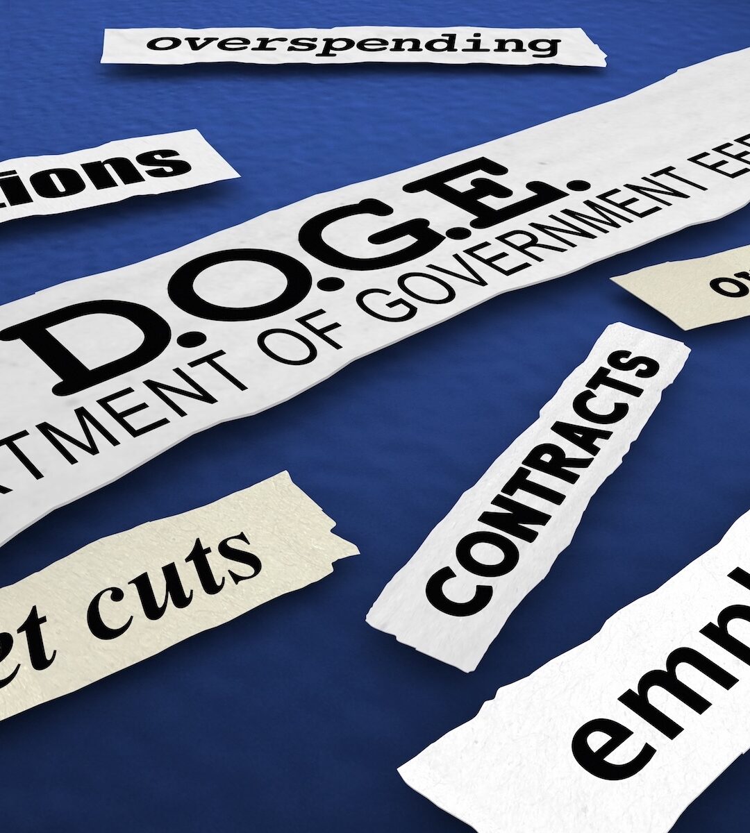 GovCon Survival Guide: How to Thrive Amid DOGE’s Federal Cuts