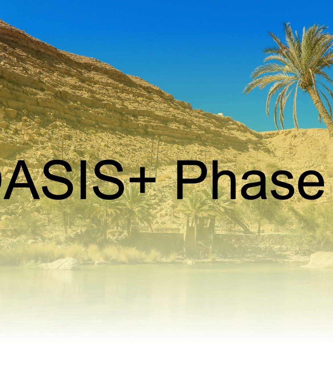 Webinar: OASIS+ Phase II – Lessons Learned & What’s Next