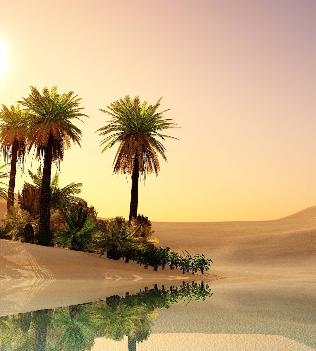 Inside the Next OASIS+ On-Ramp: What’s Changing & How to Prepare