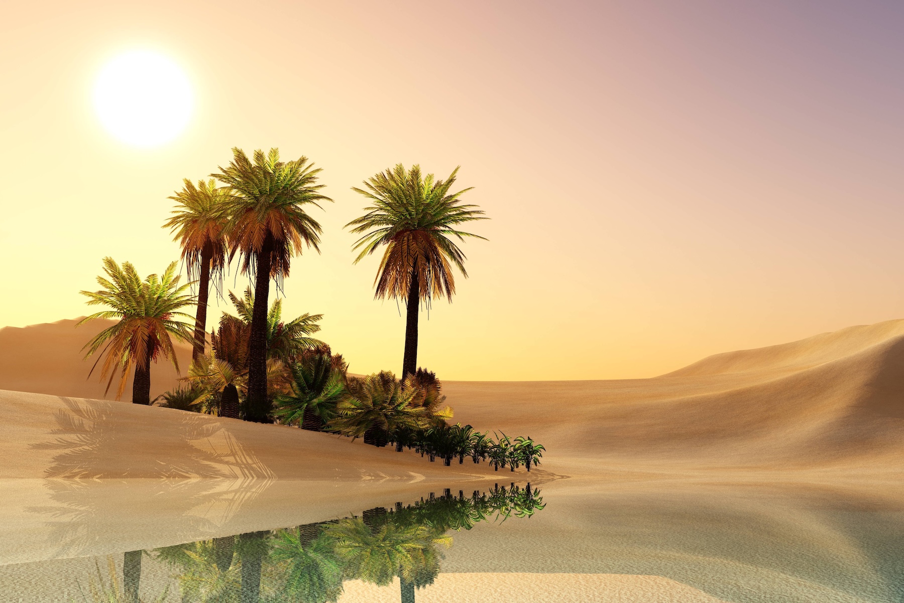 Inside the Next OASIS+ On-Ramp: What’s Changing & How to Prepare