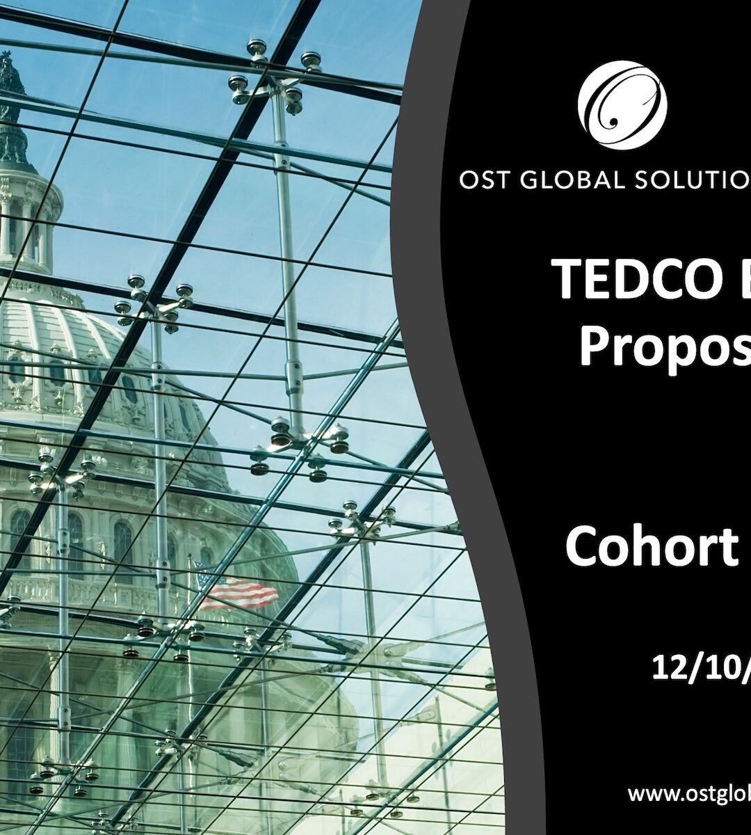 Webinar Recap: BRIDGE Proposal Lab – How to Win Federal Funding (Cohort 2 Info Session)